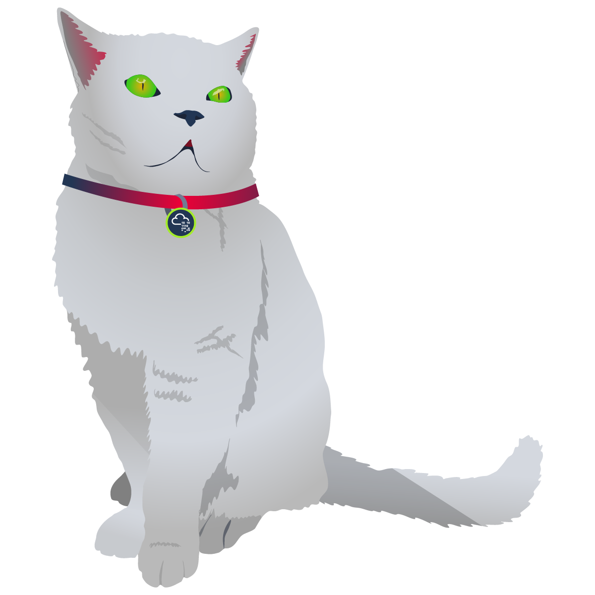 Cat Pictures 2