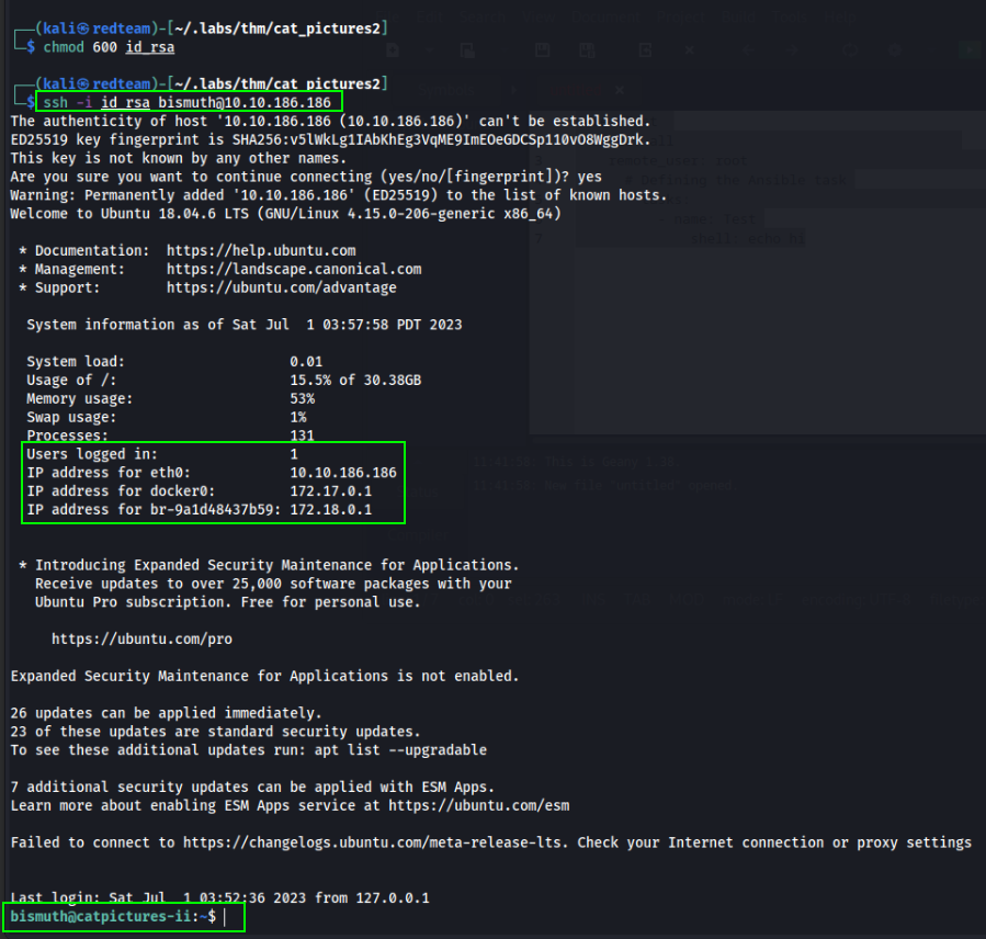 Bismuth SSH