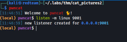 PWNCAT Listener