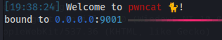 Start Pwncat-CS