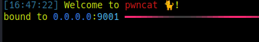 pwncat-cs