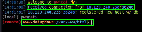 pwncat-cs