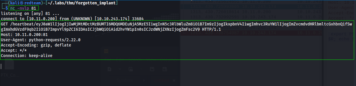 Netcat Listener Port 81
