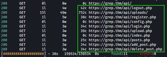 Dir Enum on API
