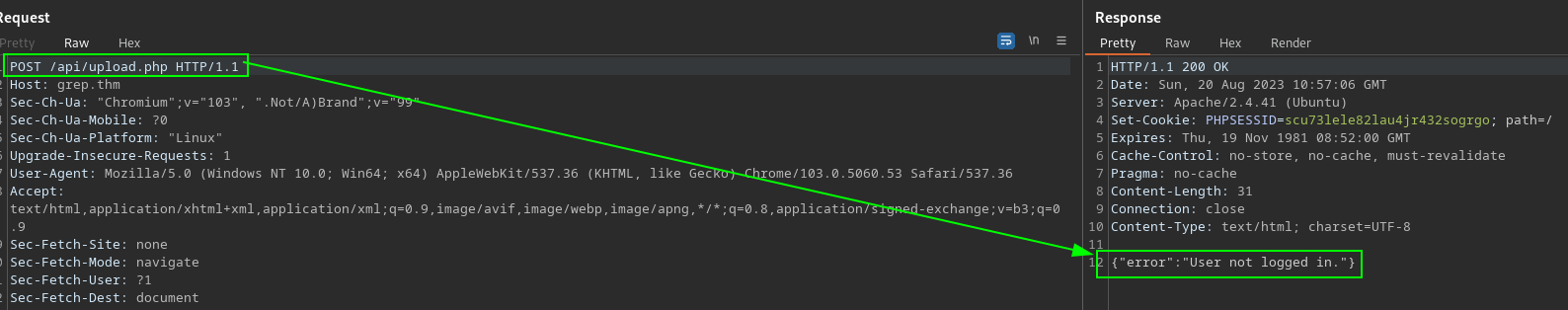 Upload Burp Capture